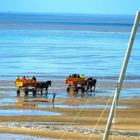 Am Sahlenburger As18