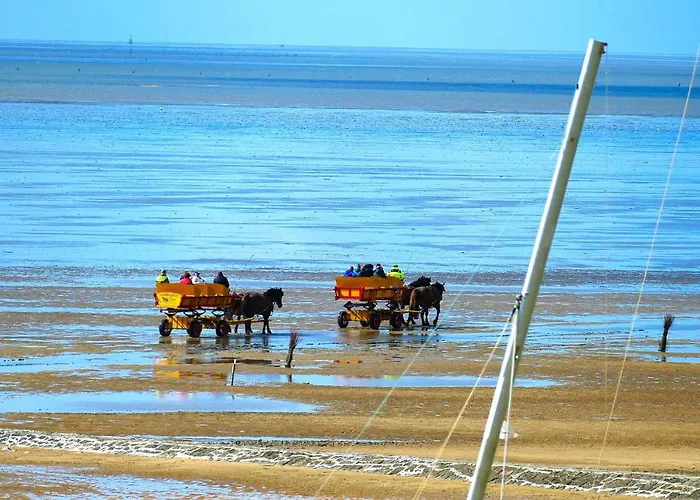 Am Sahlenburger As18